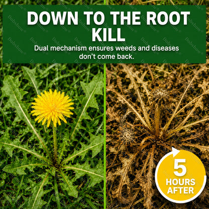 Healrize® WeedBolt Advanced Dual-Action Herbicide⚡ Fast-acting dual-action power for tough, stubborn weeds.