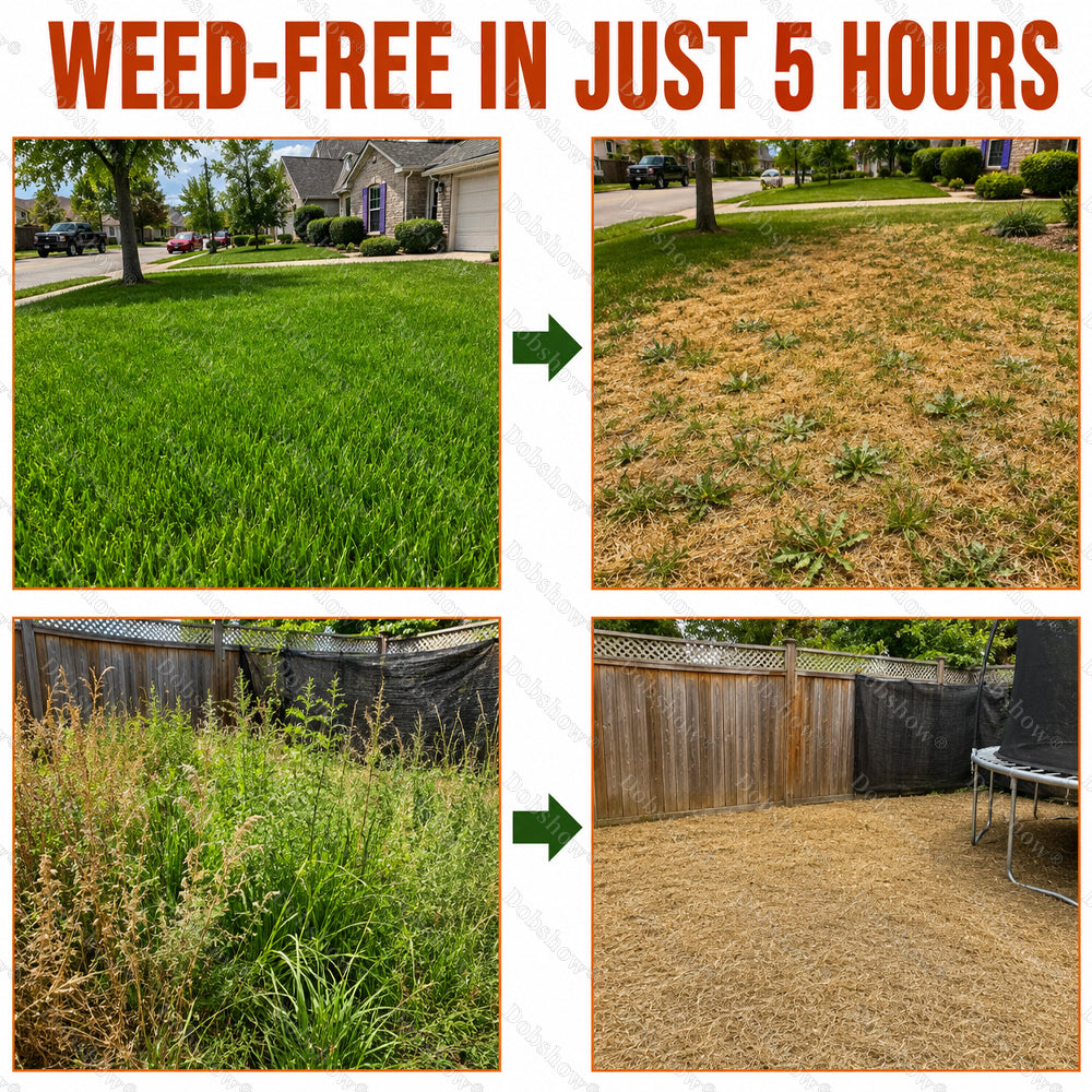 Healrize® WeedBolt Advanced Dual-Action Herbicide⚡ Fast-acting dual-action power for tough, stubborn weeds.
