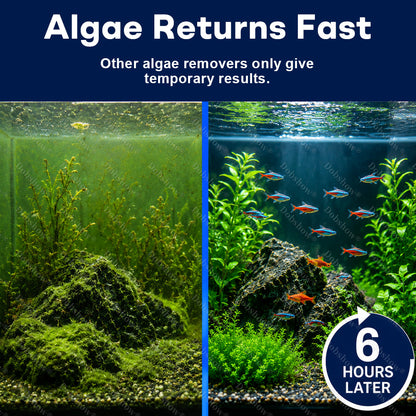 Dobshow®DUAL-ACTION ALGAE CONTROL