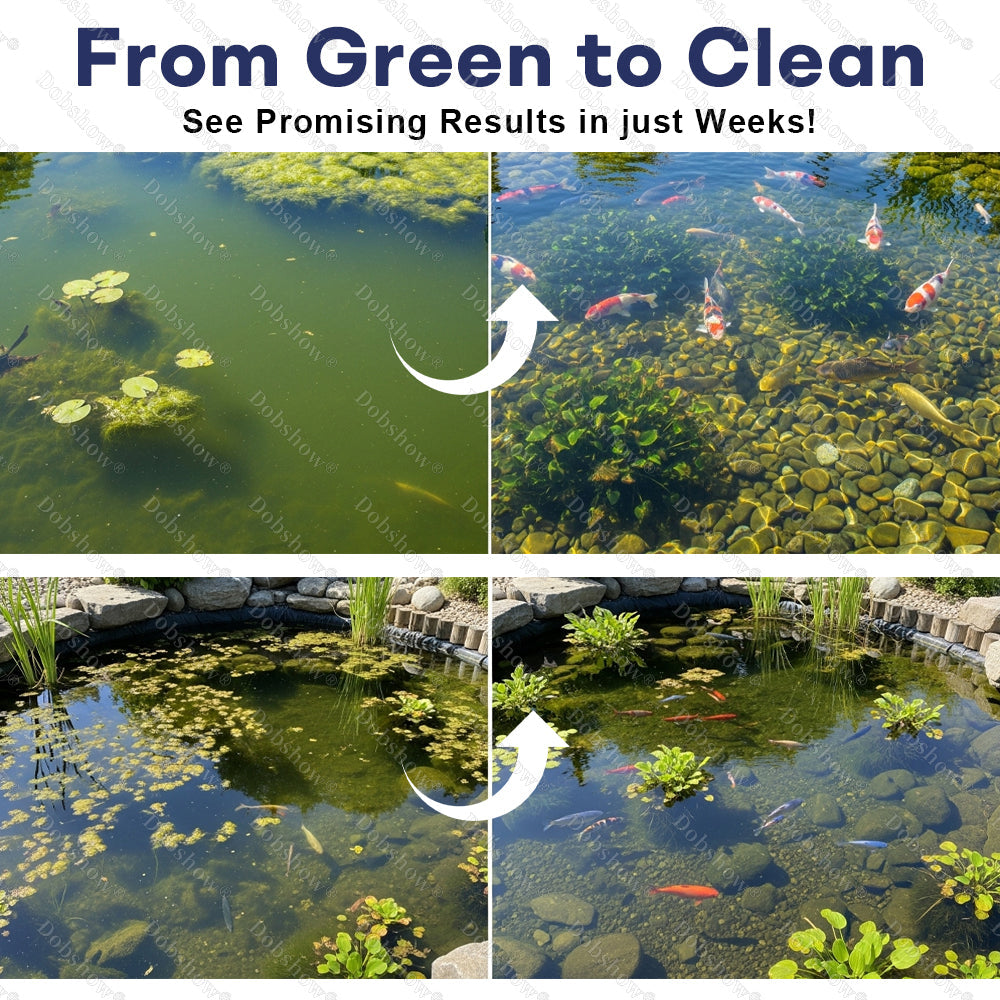 Dobshow®DUAL-ACTION ALGAE CONTROL
