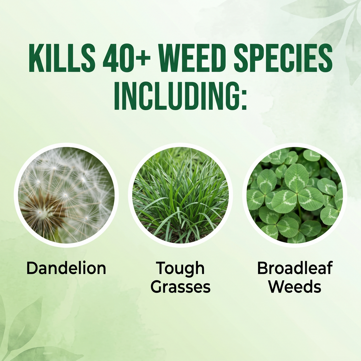 🏆U.S.𝙊𝙛𝙛𝙞𝙘𝙞𝙖𝙡 𝙎𝙩𝙤𝙧𝙚 | Healrize® 2-in-1 Max Strength Herbicide: Fast Acting Results on 𝙂𝙡𝙮𝙥𝙝𝙤𝙨𝙖𝙩𝙚-𝙍𝙚𝙨𝙞𝙨𝙩𝙖𝙣𝙩 𝙒𝙚𝙚𝙙𝙨