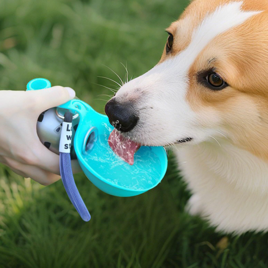 Outing Cup Sling Hook: The Ultimate Dog Walker's Portable Water Bottle & Bowl
